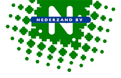 Logo Nederzand Projectmanagement